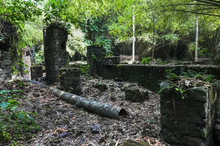 Cameroon's Slave Trade History: Sites of Memory and the African Diaspora Connection