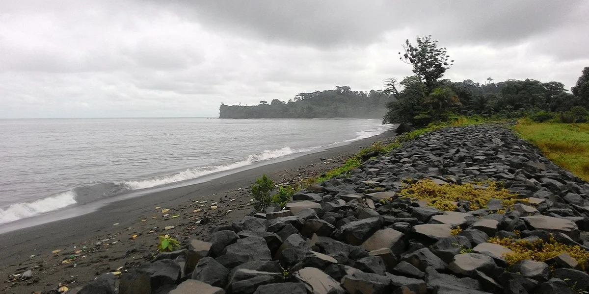 Top Tourist Attractions in Cameroon: The Definitive Guide to Africa's Most Diverse Country