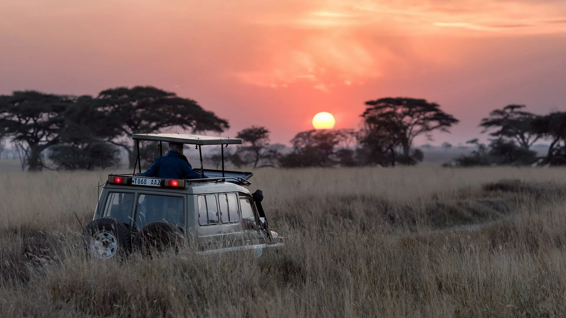 Discovery Safari: An Immersive Journey Through Cameroon's Wild Heart