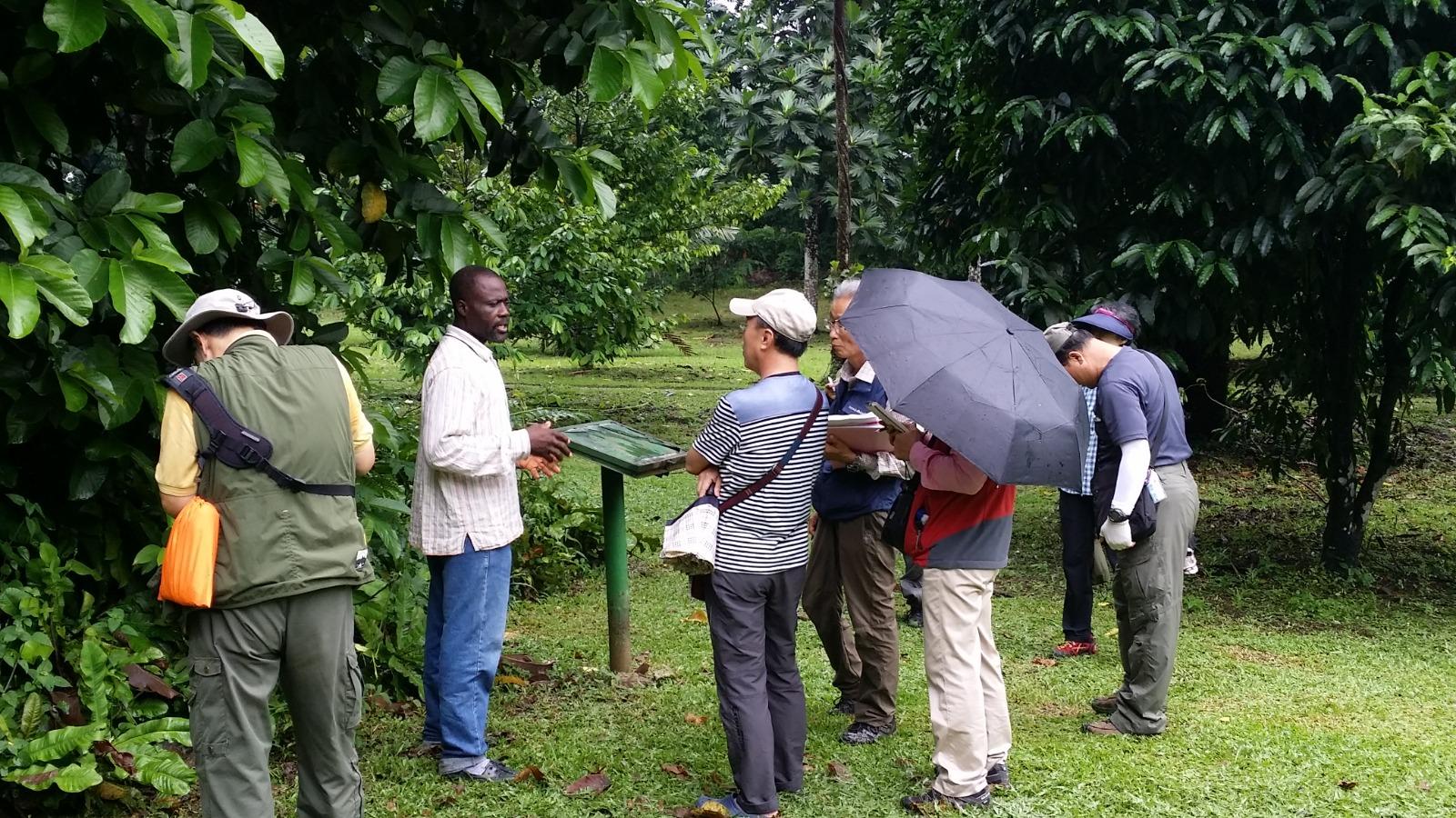 Voyageur à l’aéroport avec bagages et documents de voyage prêts