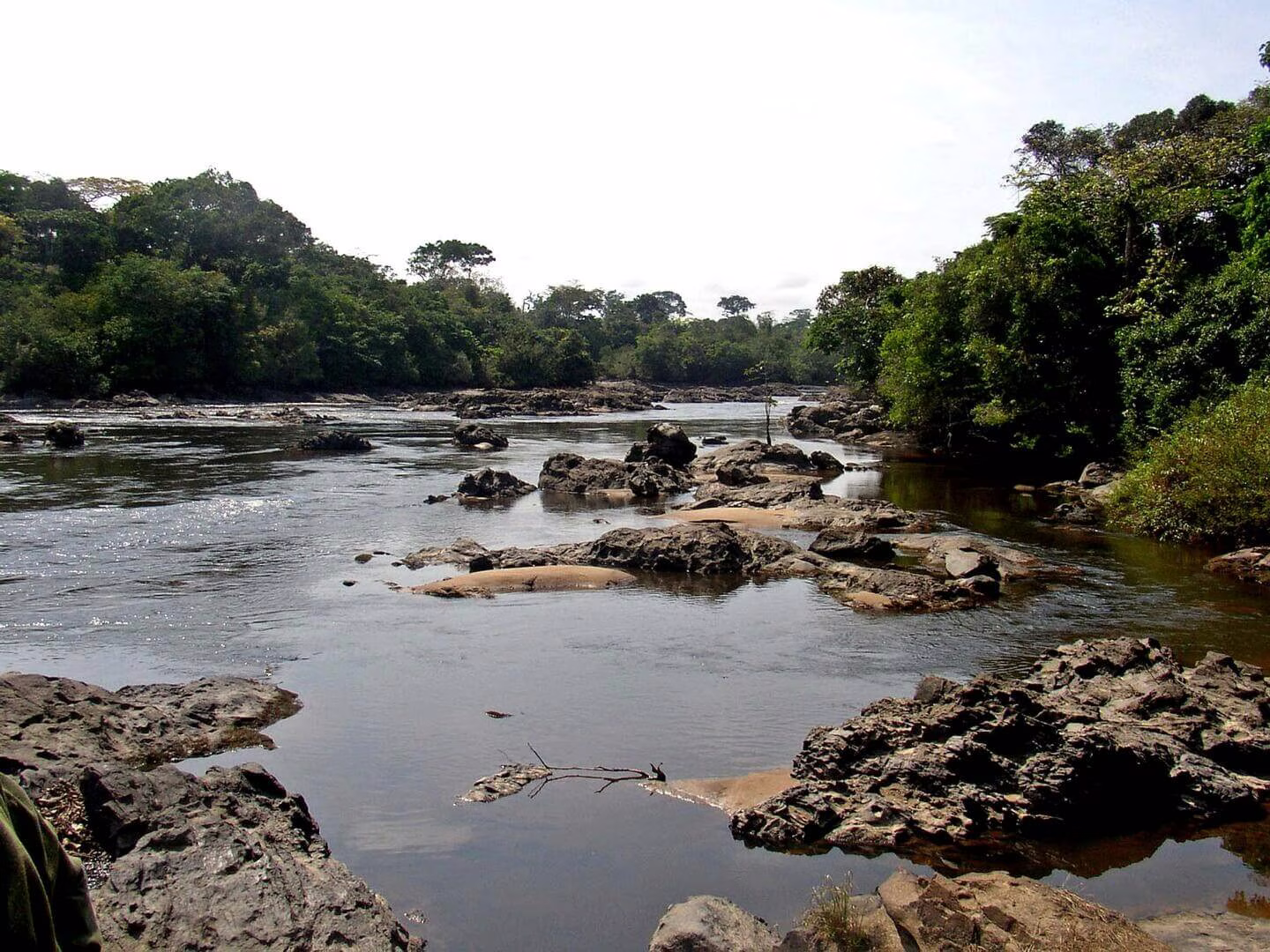 Congo River Basin Exploration (8 Days)
