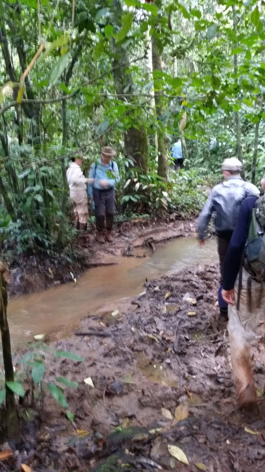 Salonga Wilderness Expedition (12 Days)